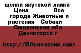 щенки якутской лайки › Цена ­ 15 000 - Все города Животные и растения » Собаки   . Смоленская обл.,Десногорск г.